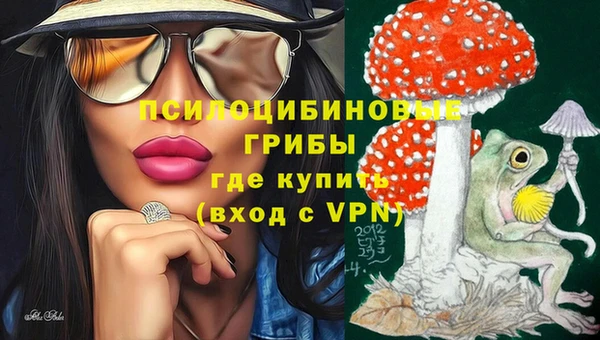 Альфа ПВП Абаза