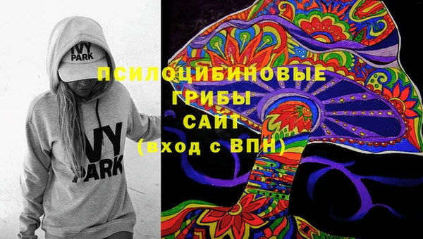 Альфа ПВП Абаза