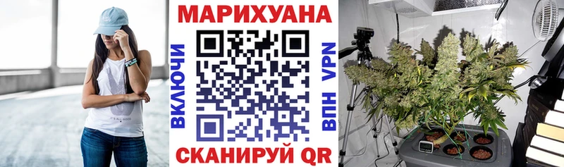 цена Сольвычегодск Каннабис Amnesia